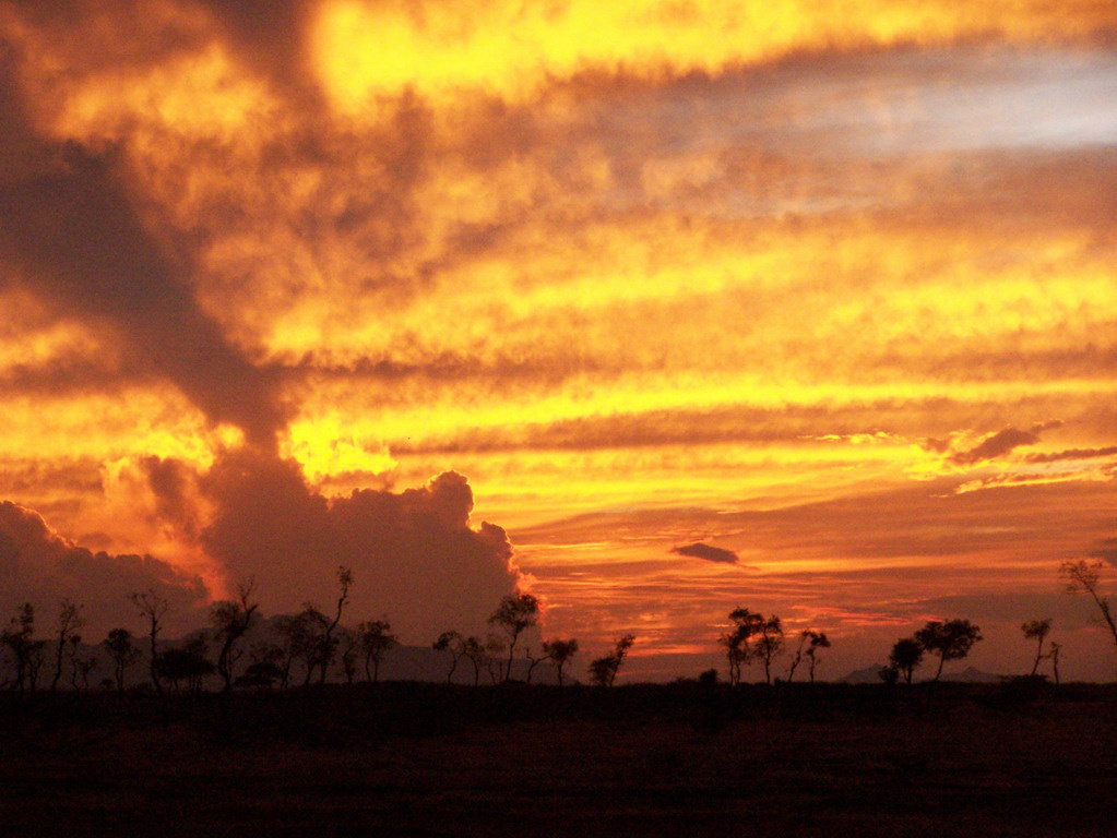 "North of Eden", India