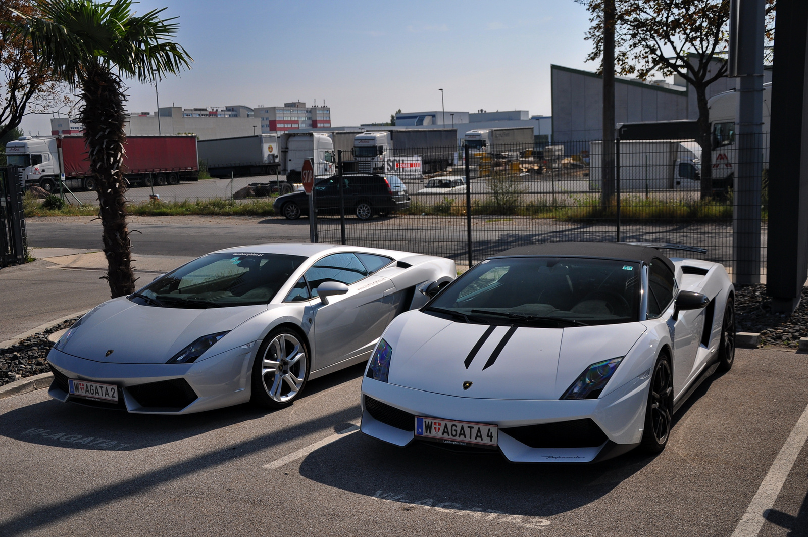 Lamborghini Gallardo LP570 Spyder Performante - LP560