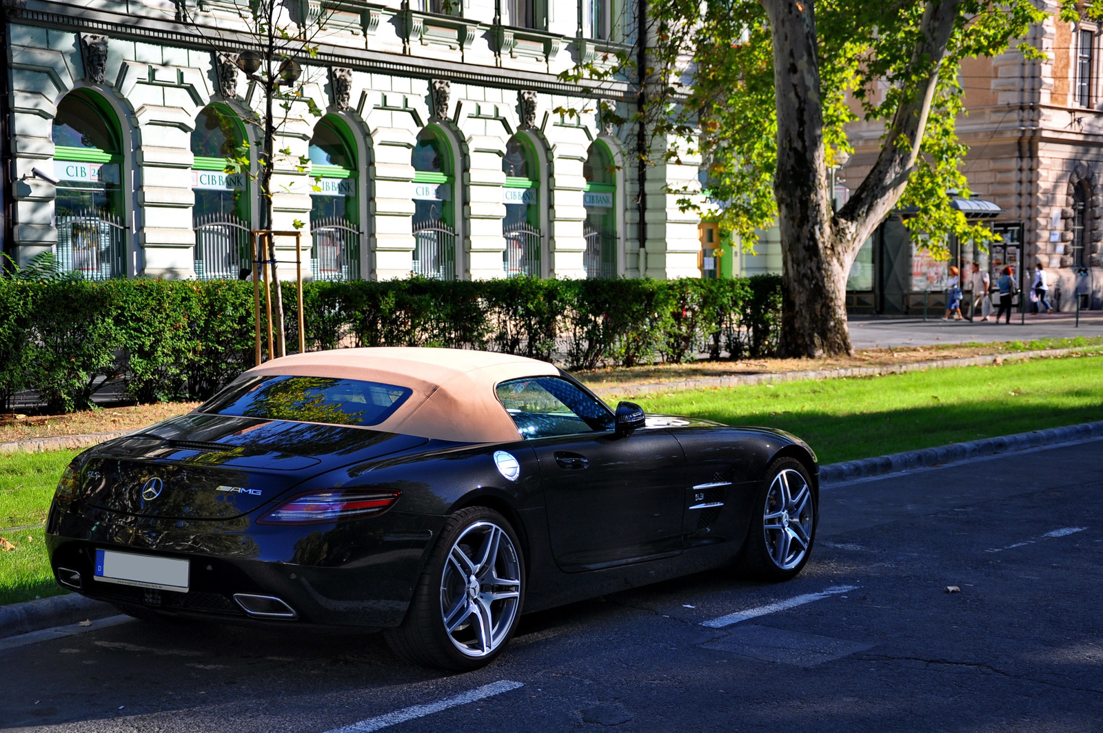 Mercedes SLS AMG Roadster 021