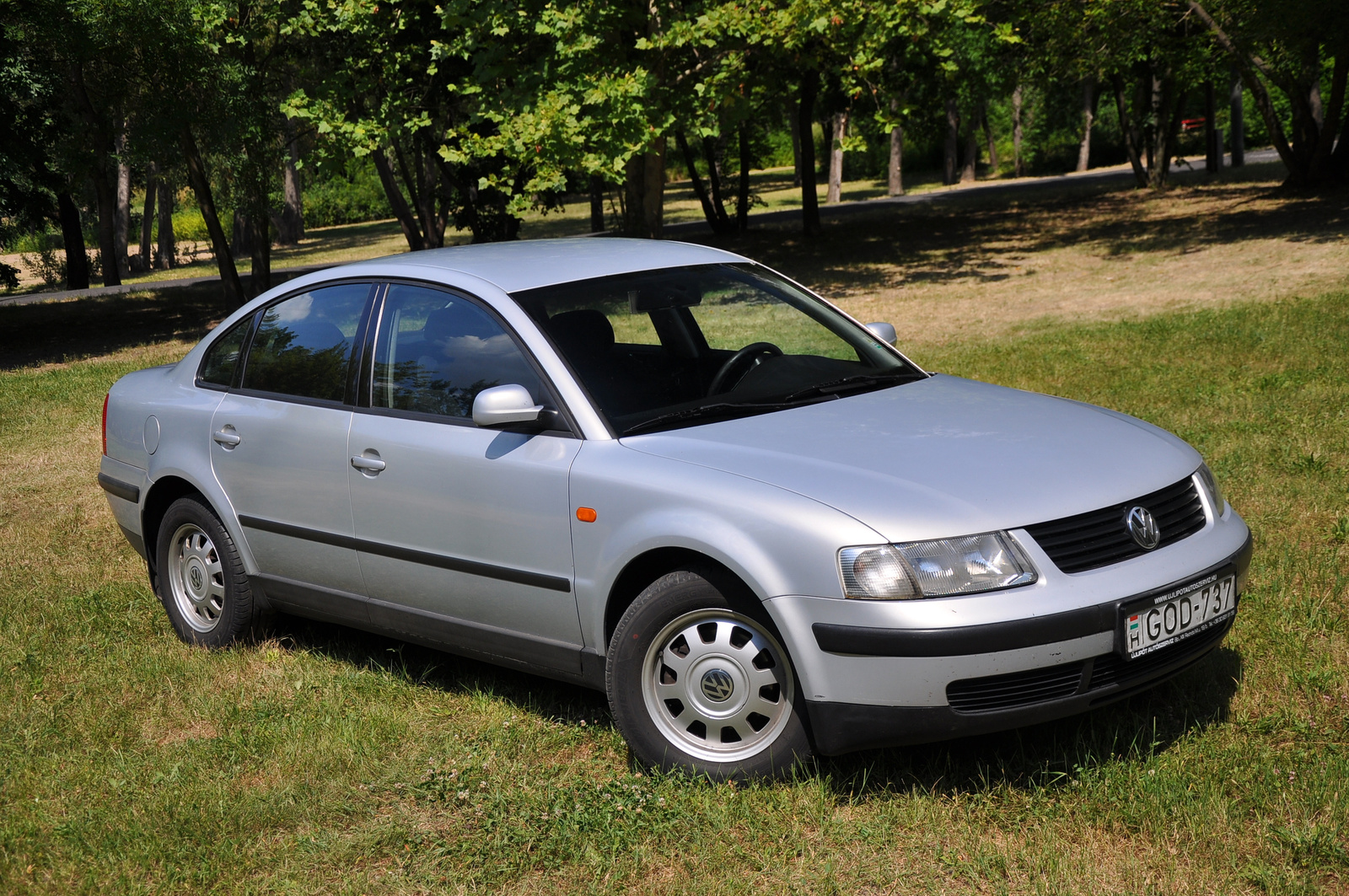 VW Passat 2014.06.18 009