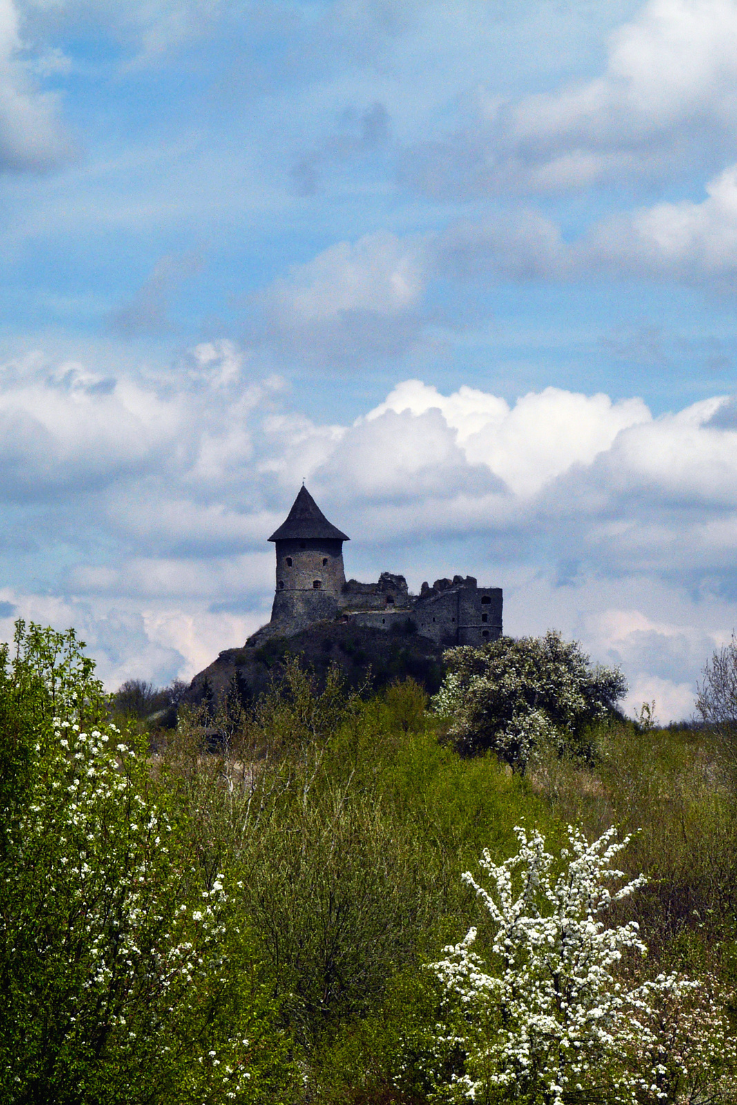 Tavasz a Medves-fennsíkon II.