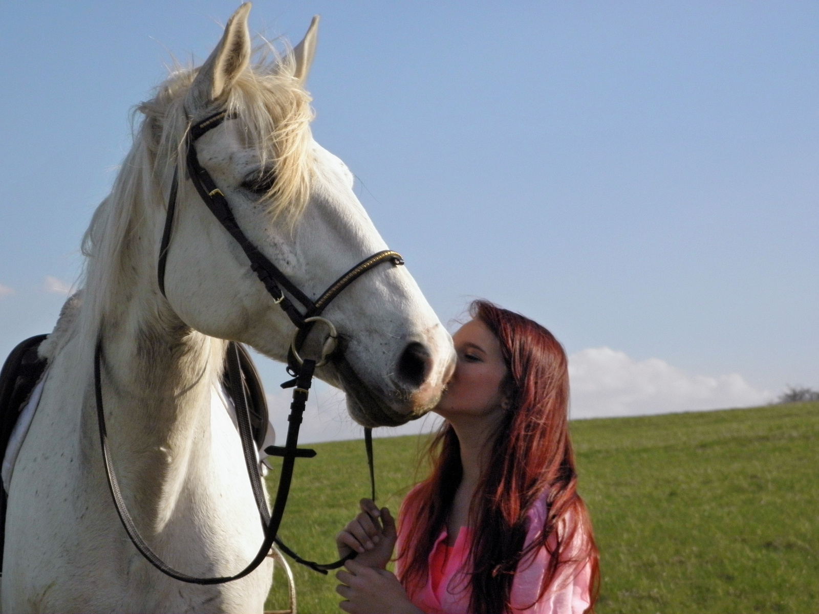 Szeretem a lovam