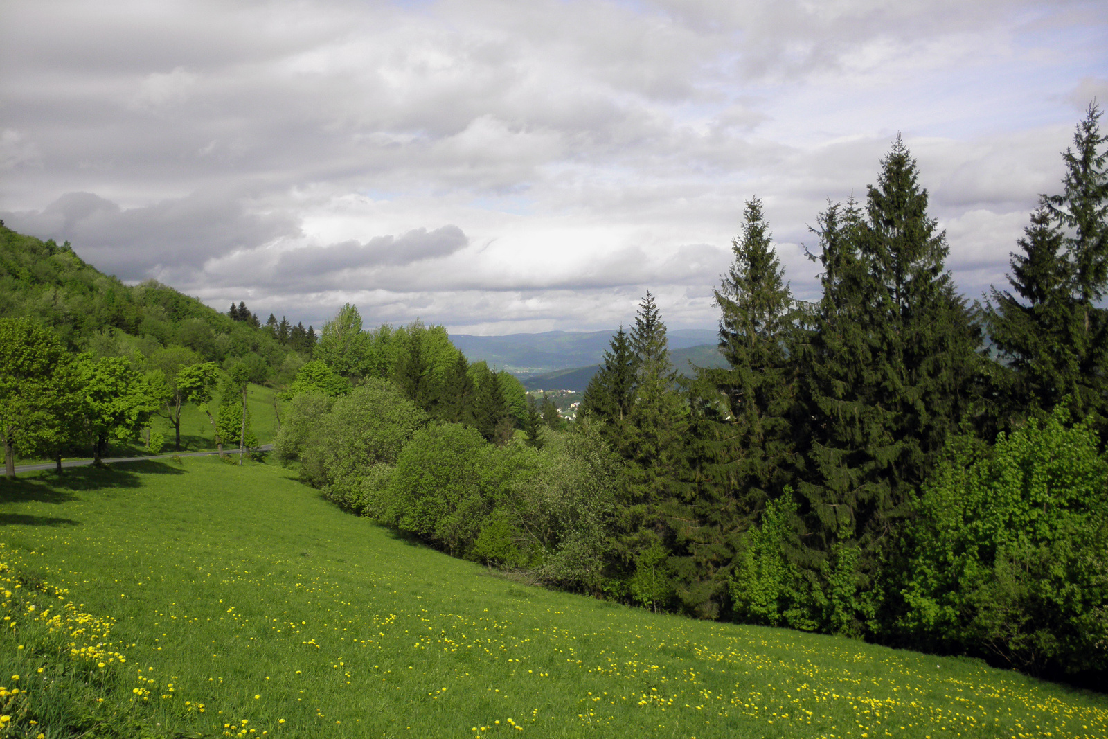 Beszkidi táj