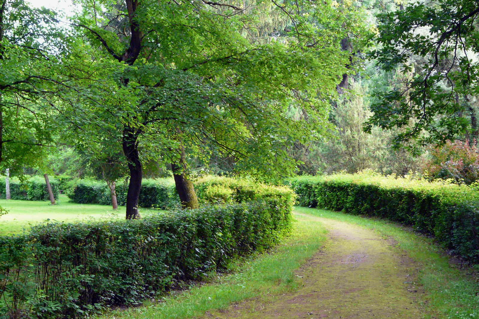 Park részlet