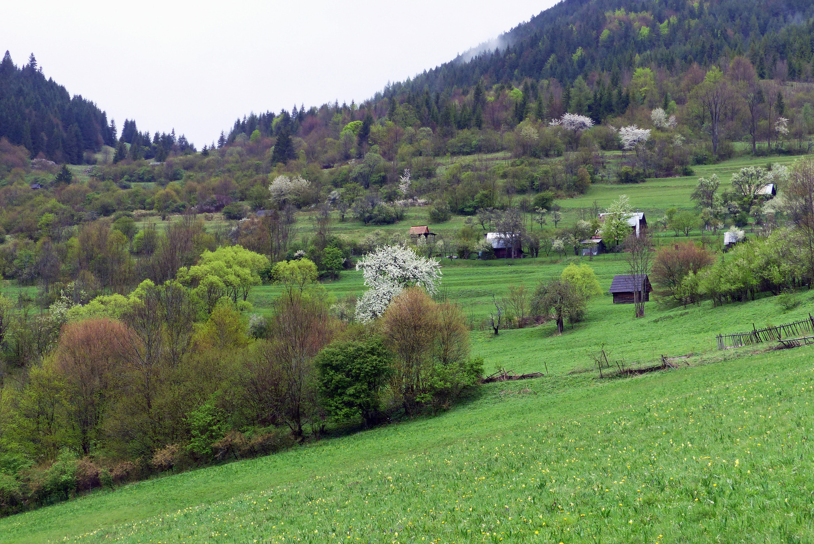 Vlkolinyec tavasszal 03