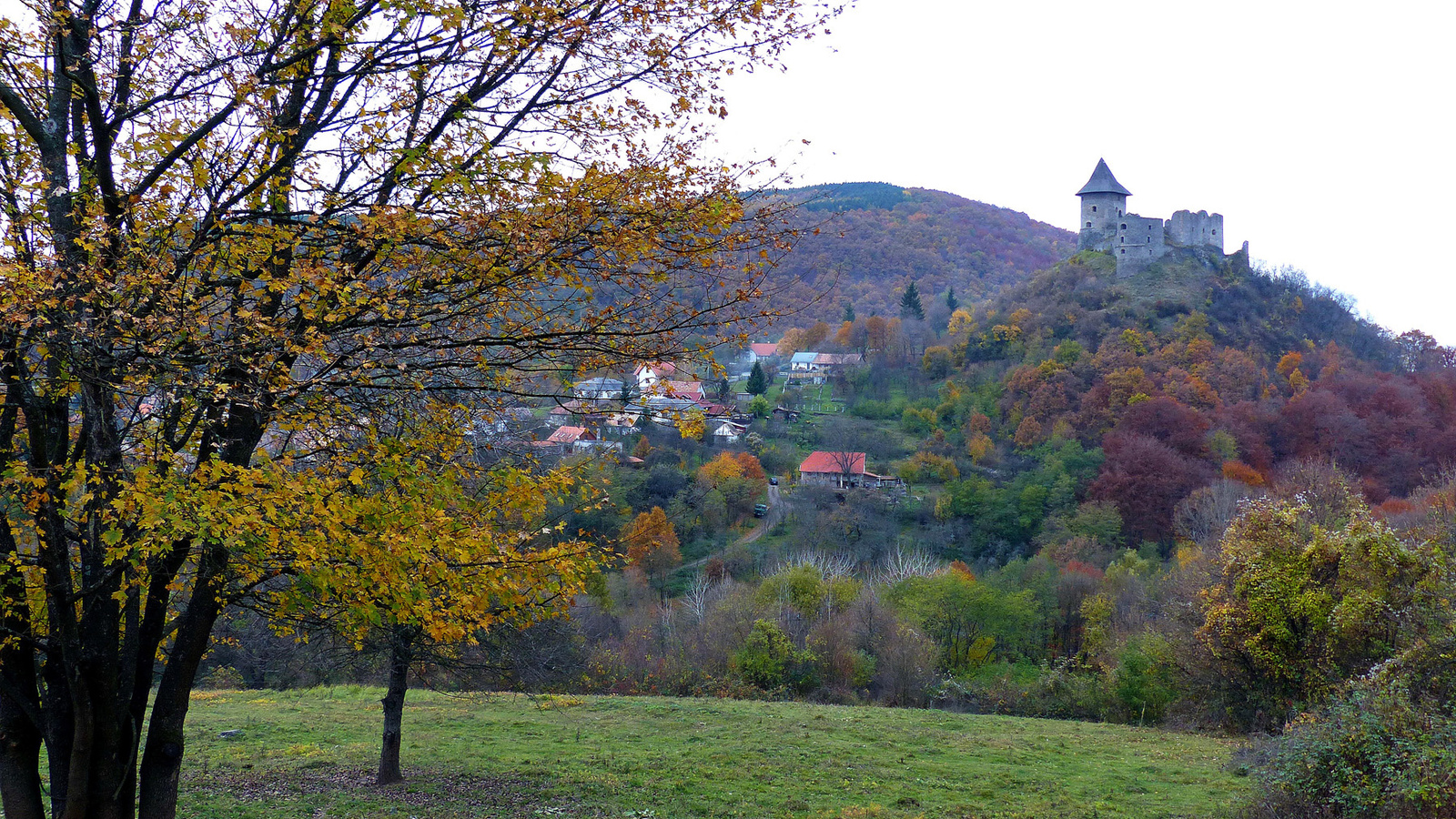 15 Őszi Medves