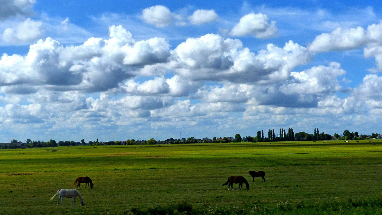 02 Felhős Hollandia