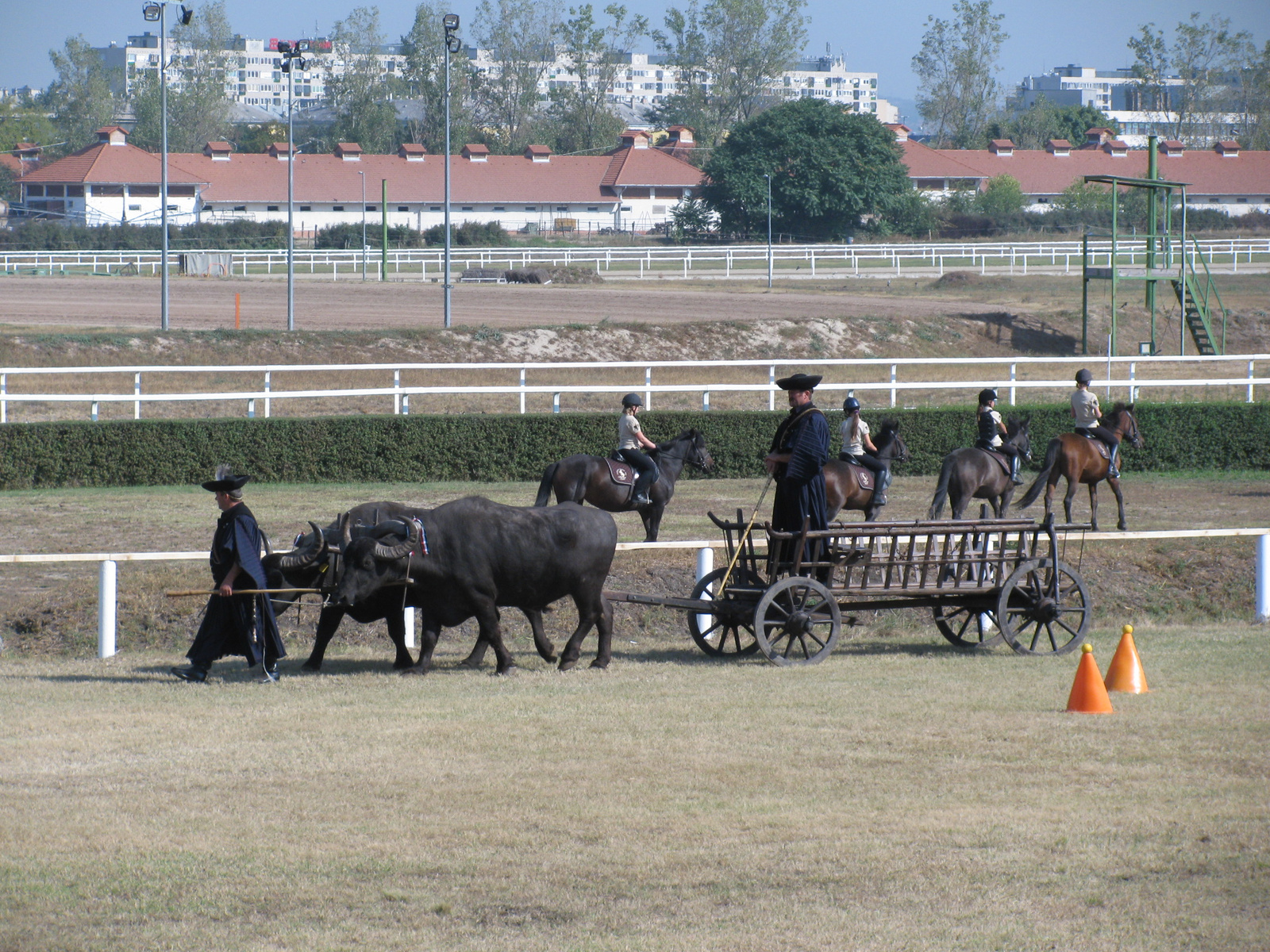 OMÉK2011 073