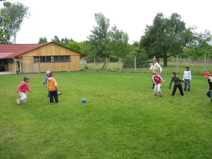 2009.06.04. Erdei óvoda Jánoshalma 095