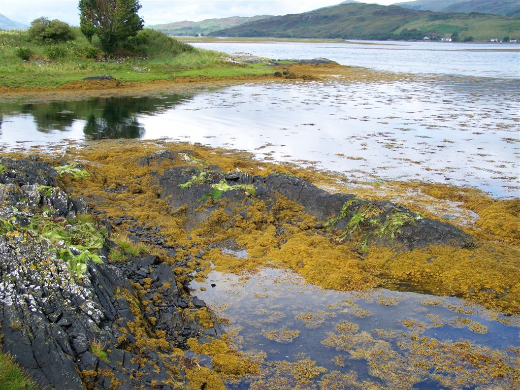 Loch Alsh (Eilean Donan Castle)