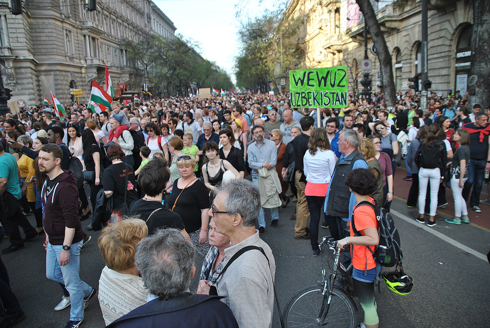 Mi vagyunk a többség - demonstráció (22)