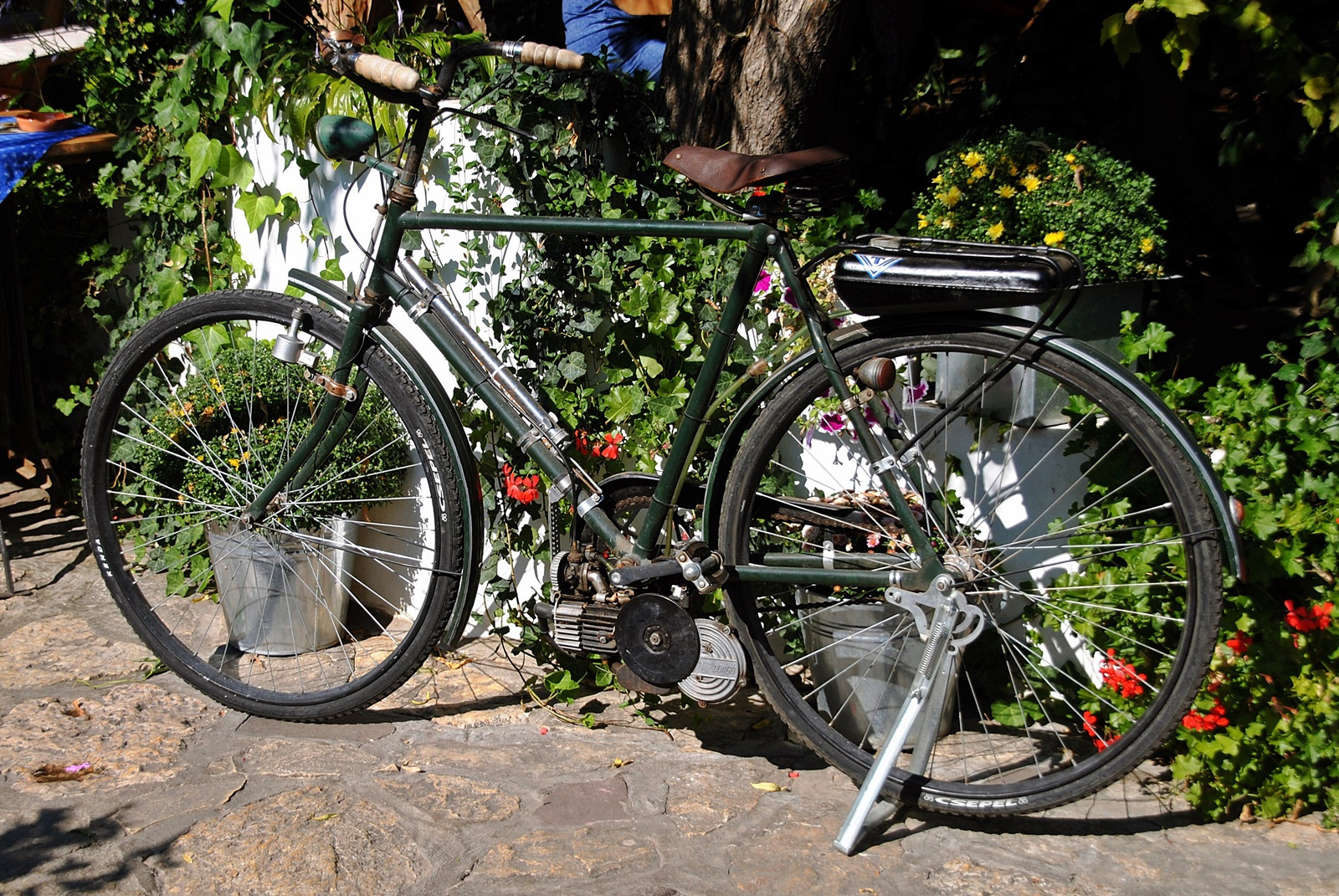 Az elektromos bicikli őse