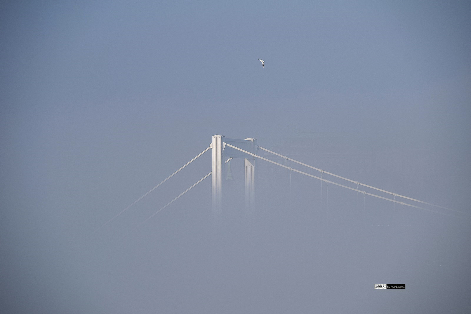 Köd és napsütés az Erzsébet hídnál...