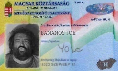 banános joe