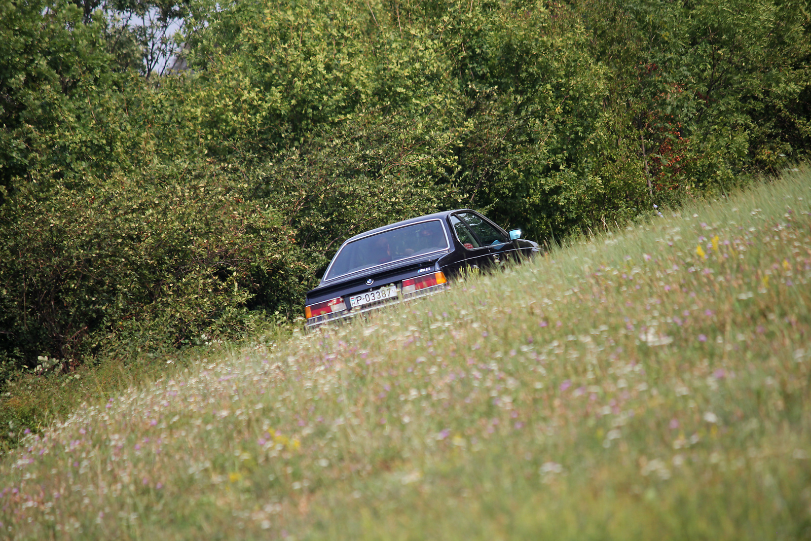 BMW E24 M6