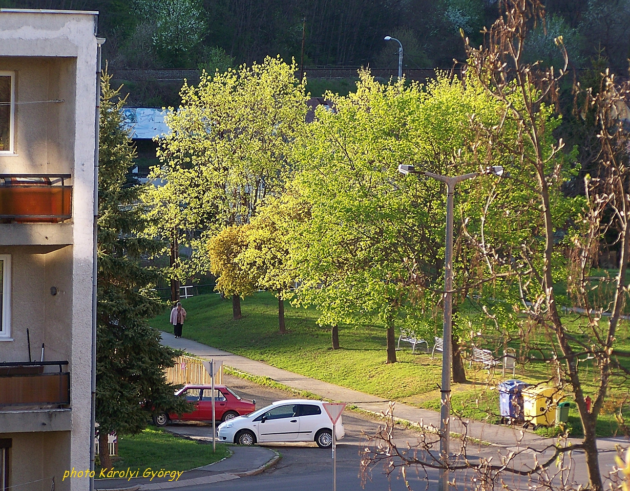 Besztercei képek, esti fények a parkban