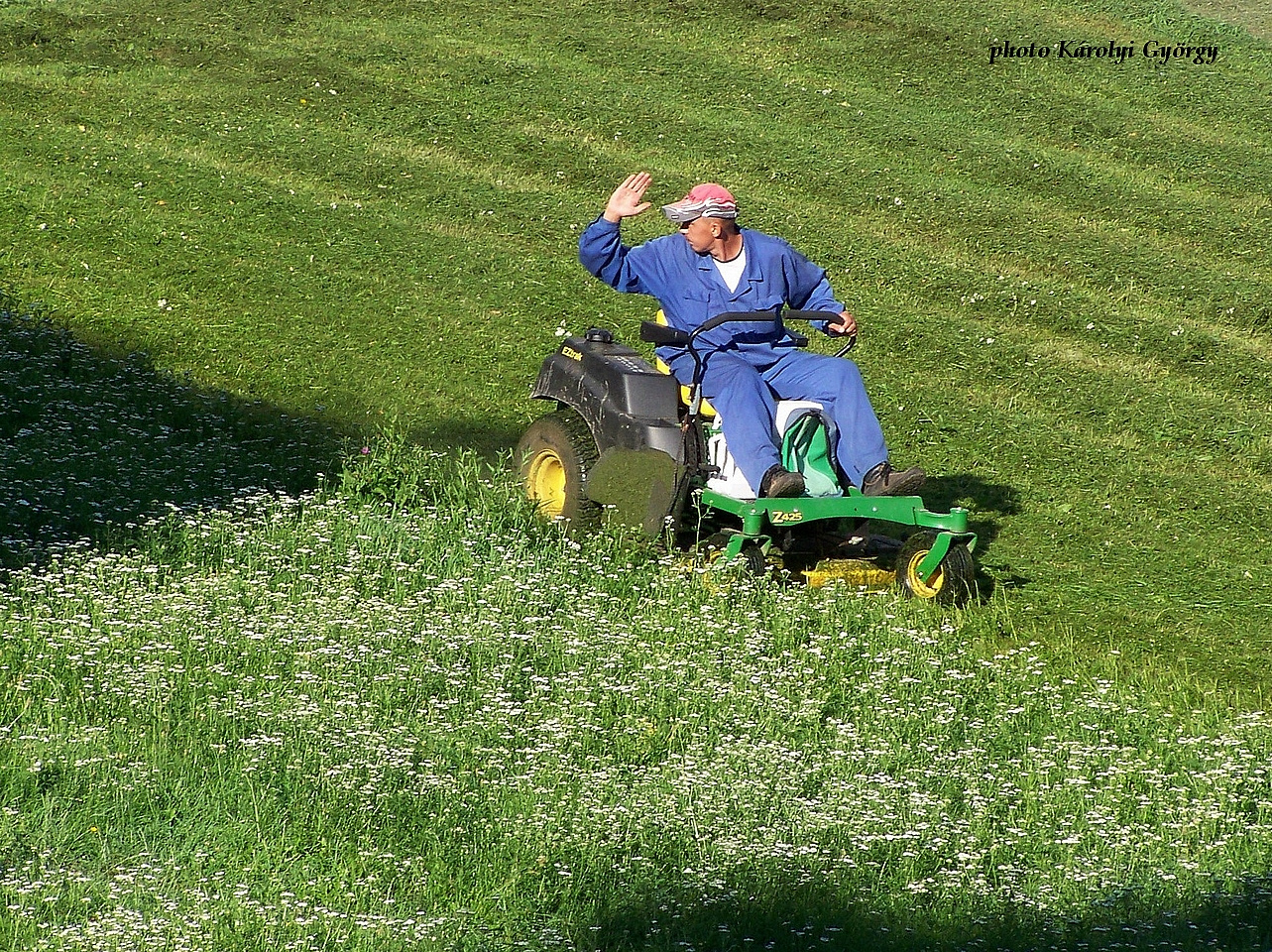 életképek, jó ez a guruló kasza