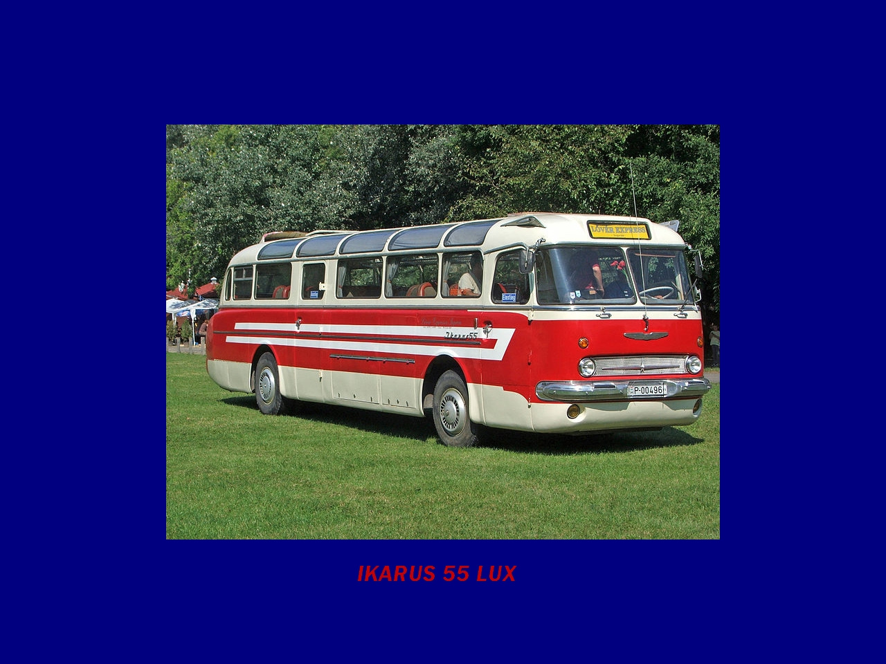 Magyar Busz, IKARUS 55 LUX