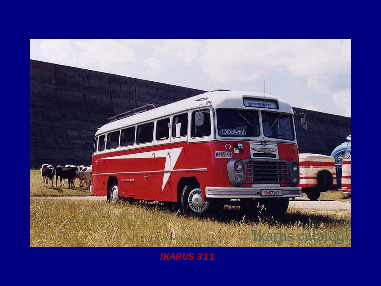 Magyar Busz, IKARUS 311.01