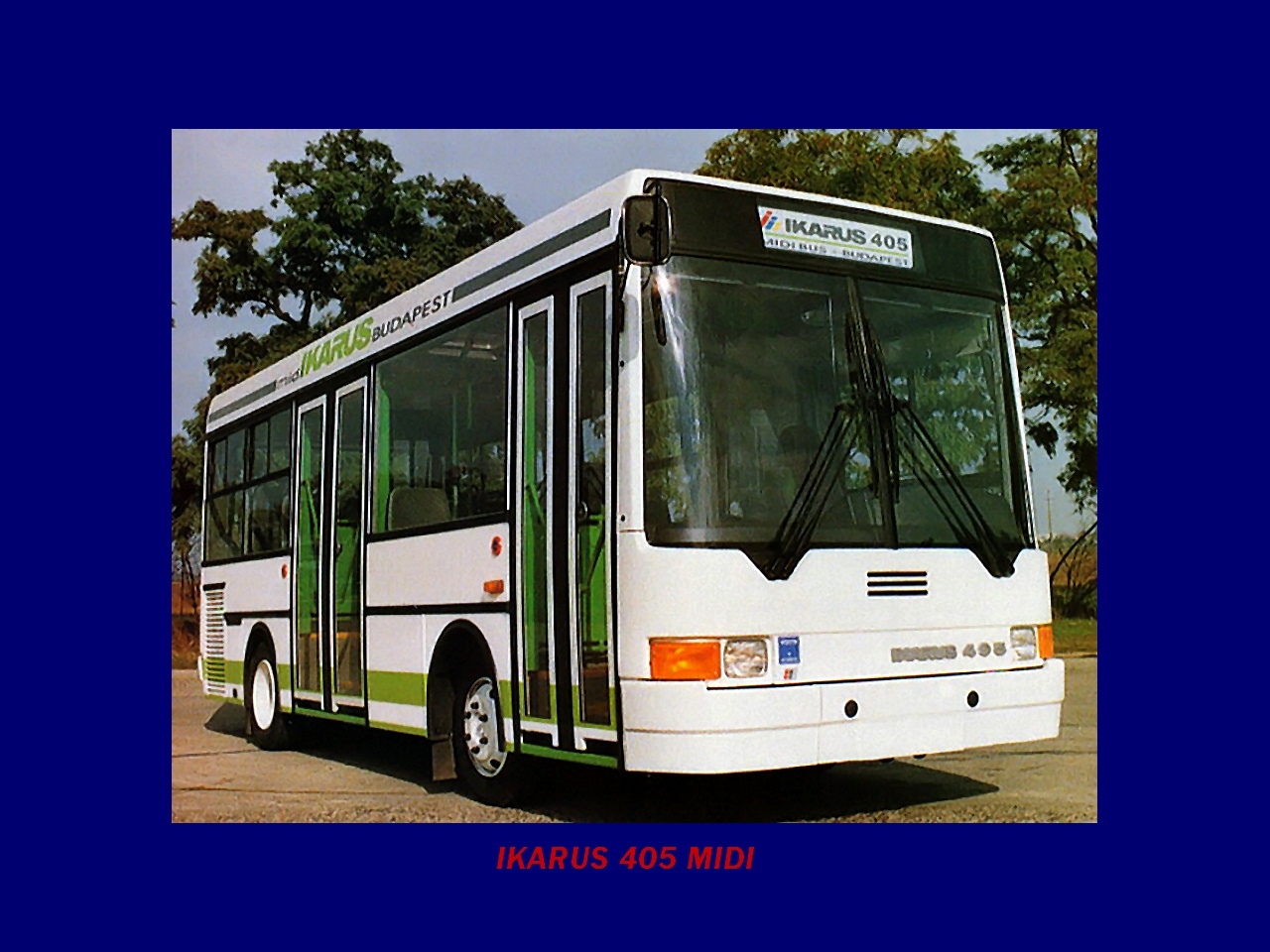 Magyar Busz, IKARUS 405