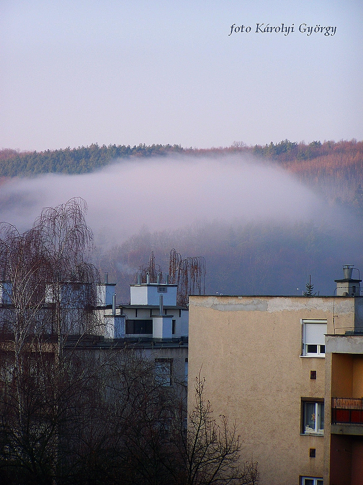 Besztercei képek, január reggeli köd