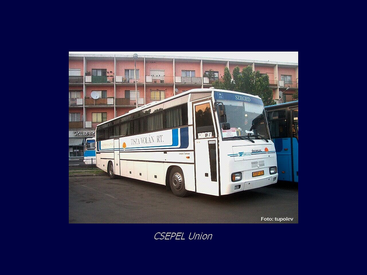 Magyar Busz, CSEPEL Union