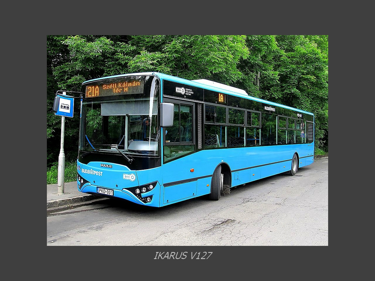 Magyar Busz, Ikarus V127