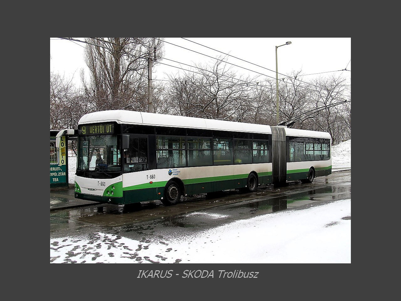 Magyar Busz, Ikarus Troli prototip