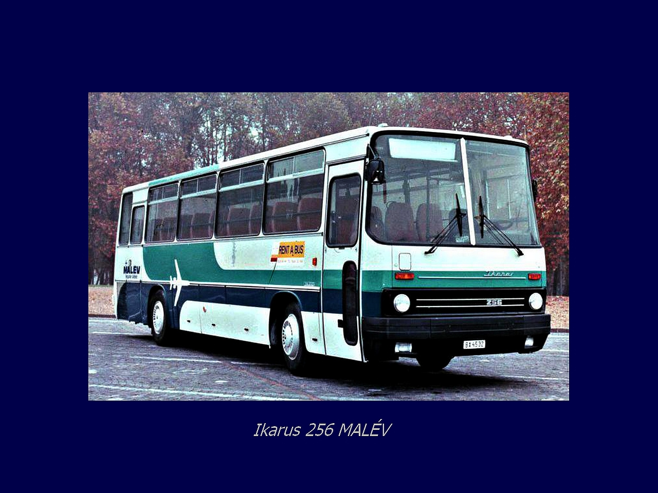 Magyar Busz, Ikarus 256 MALÉV