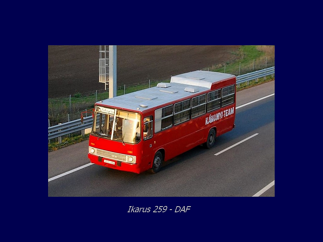 Magyar Busz, Ikarus 259 - DAF