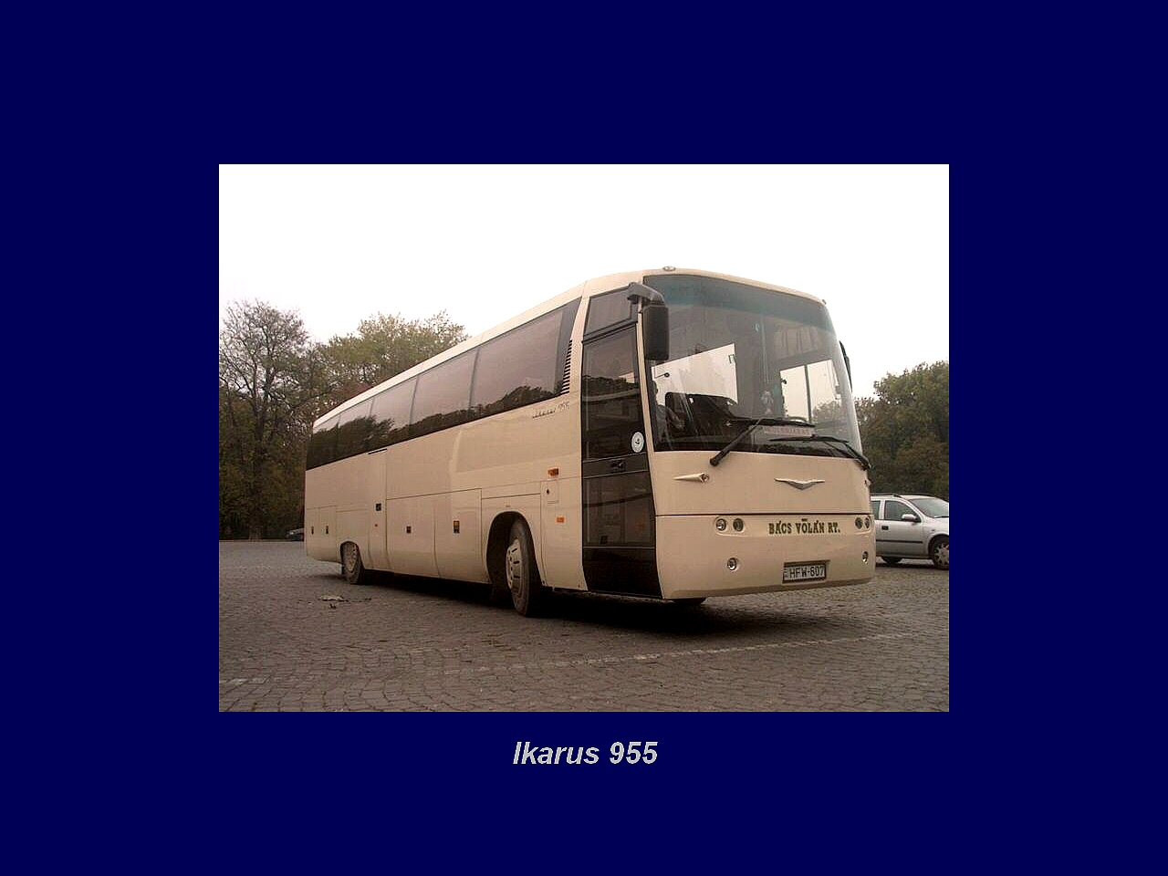 Magyar Busz, Ikarus 955