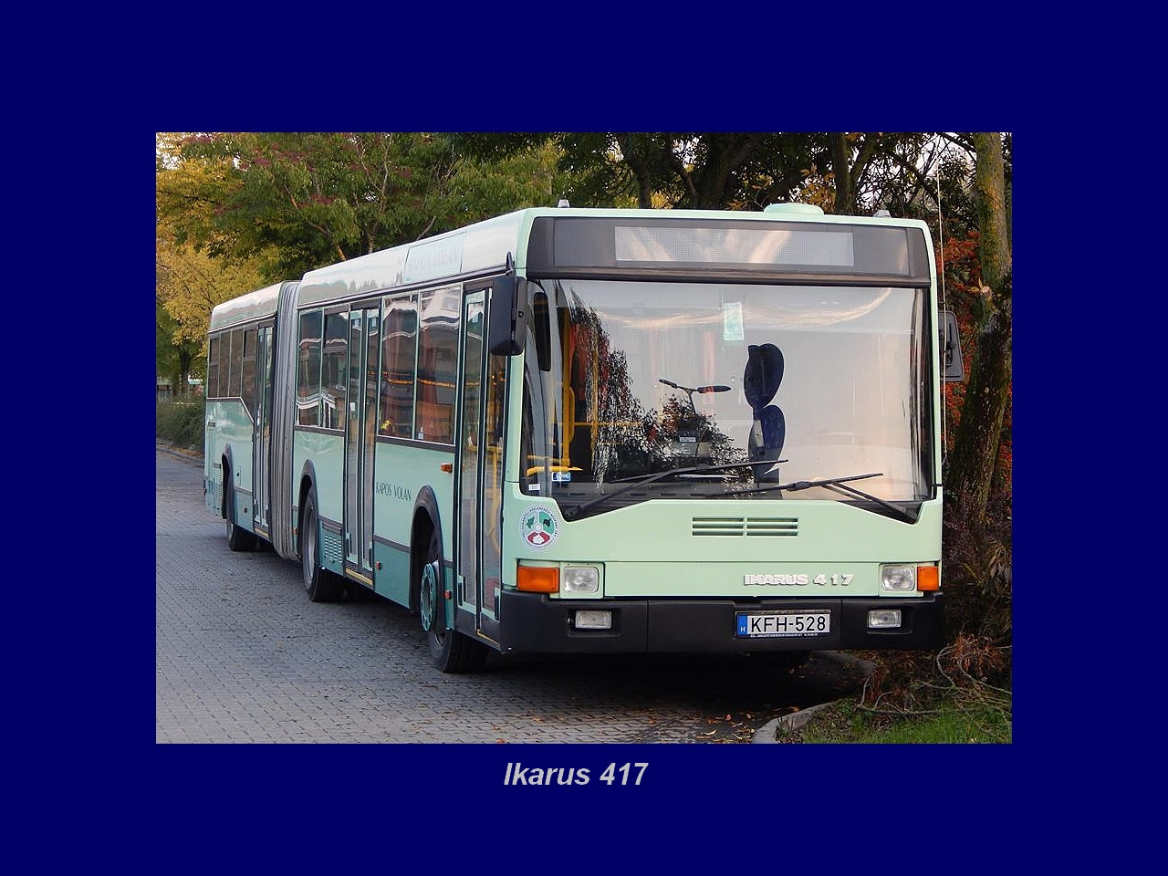 Magyar Busz, Ikarus 417