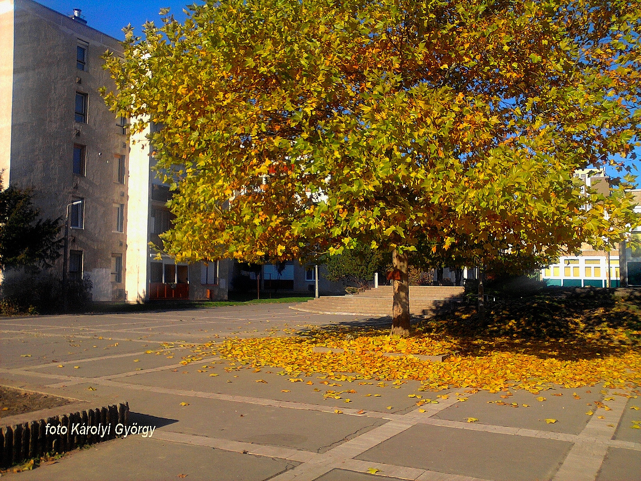 őszi színek, Besztercei tér