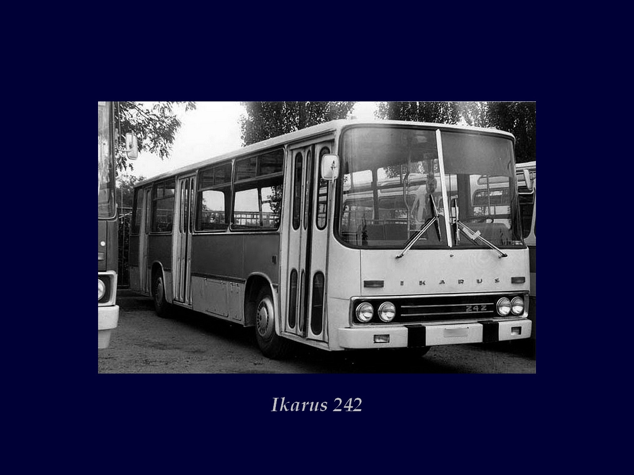 Magyar Busz, Ikarus 242