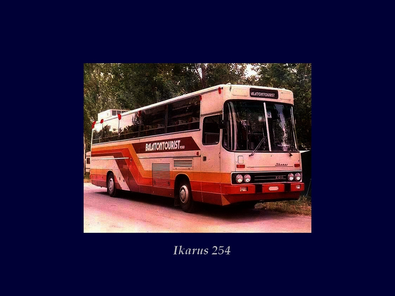 Magyar Busz, Ikarus 254