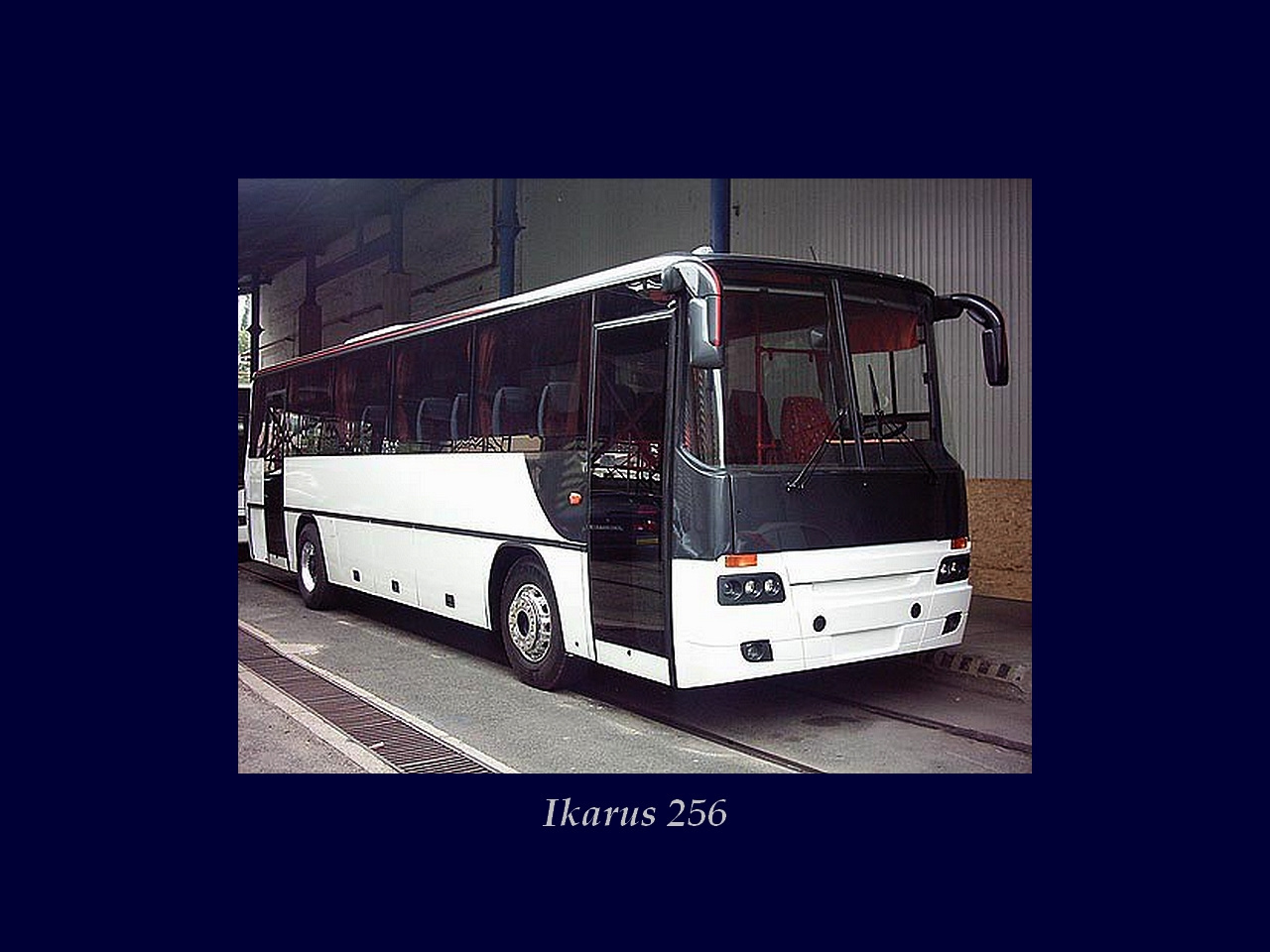 Magyar Busz, Ikarus 256