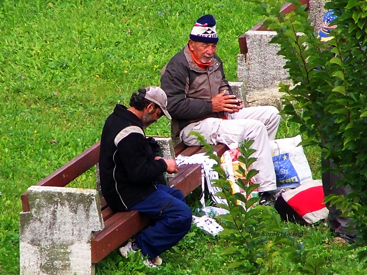 életképek, ki legyen az államfő