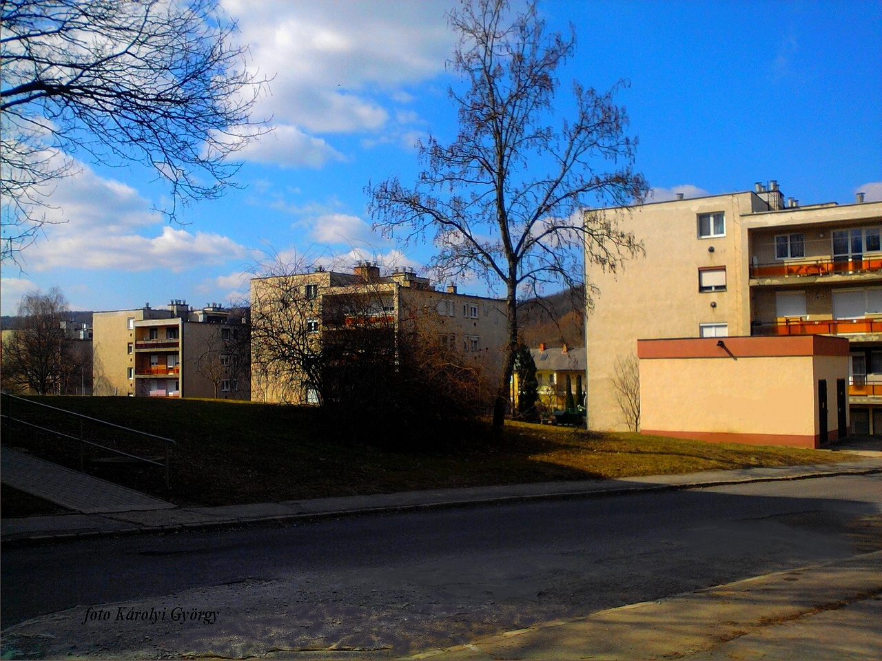 Besztercei képek, bolond kertész