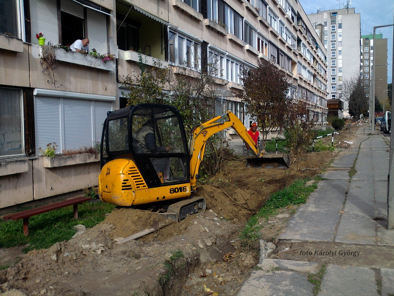 Besztercei képek, bokortalanítás az Ybl-en