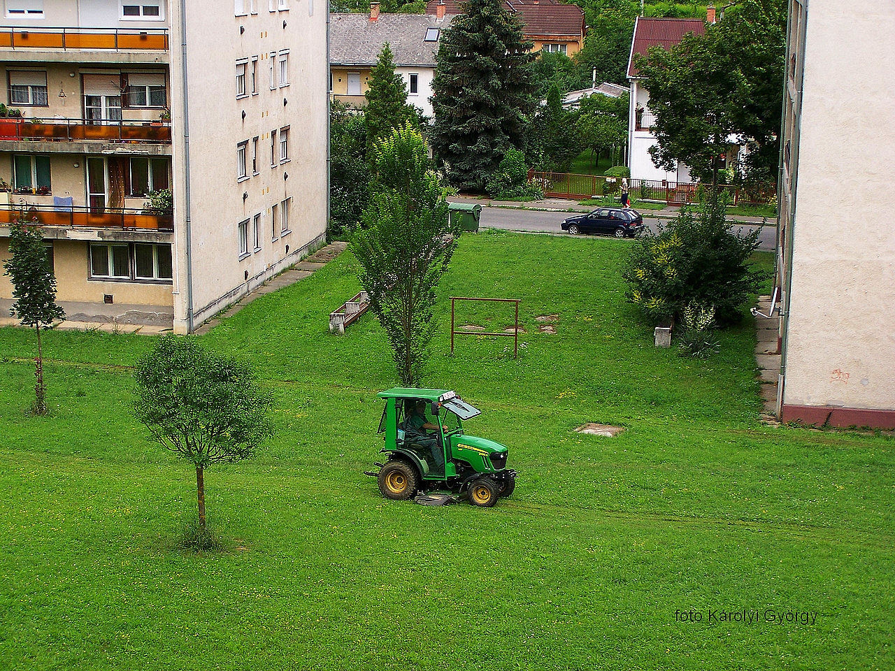 Besztercei képek, a gyepfodrász