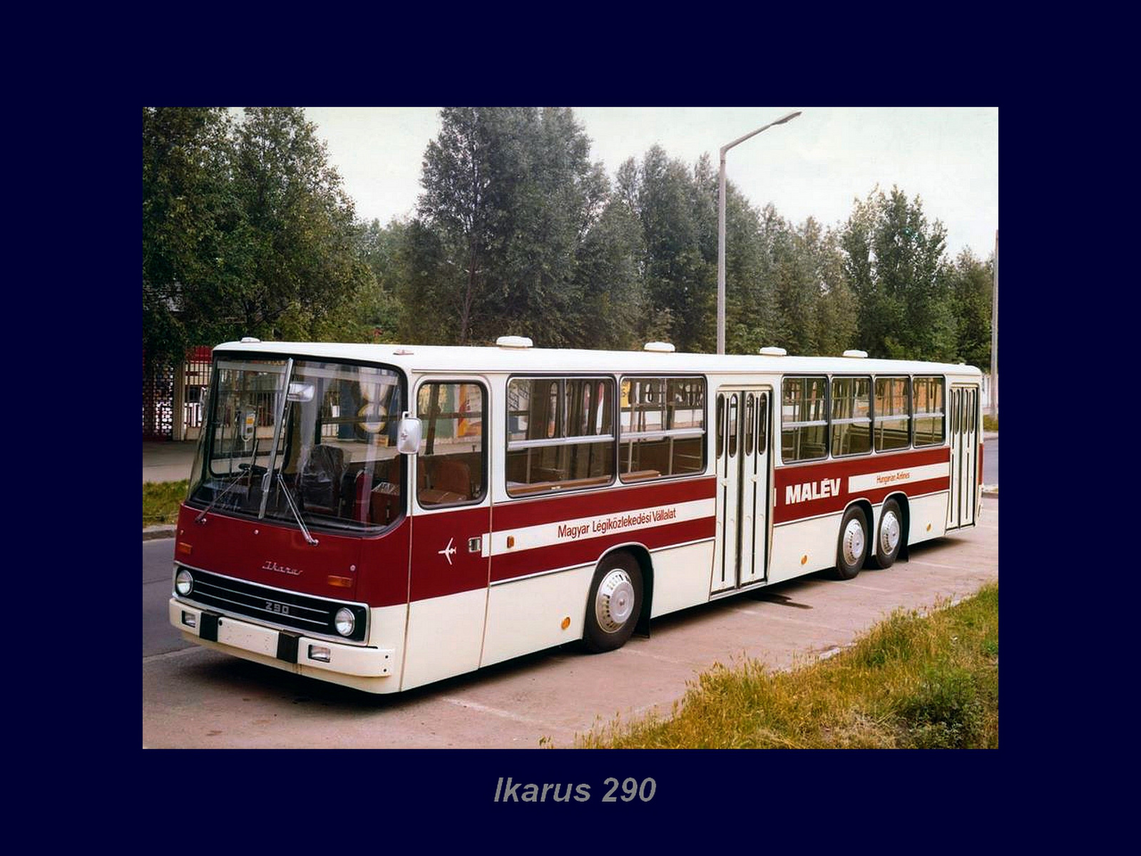 Magyar Busz, Ikarus 290