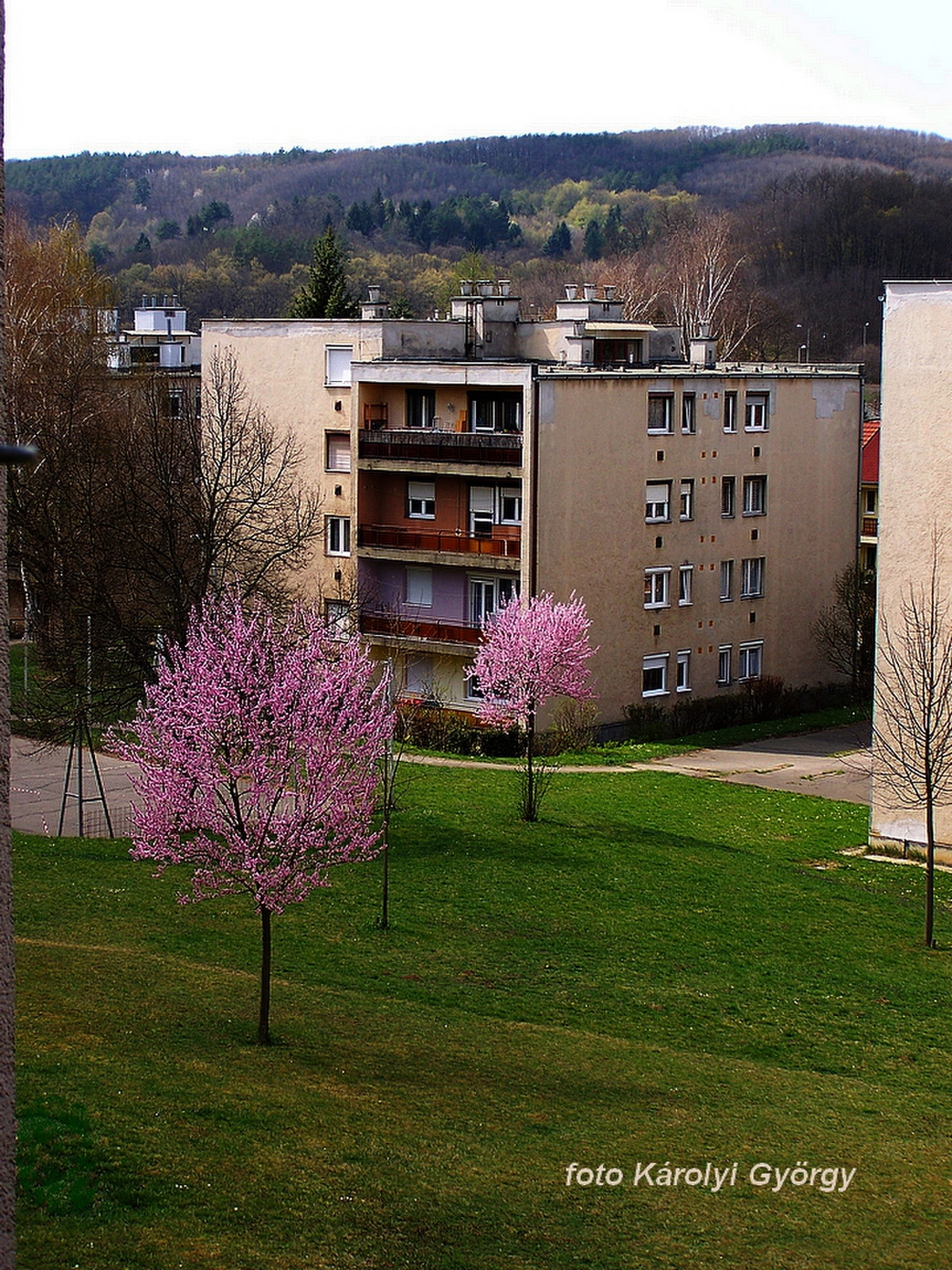 Besztercei képek, ilyen volt a tavasz