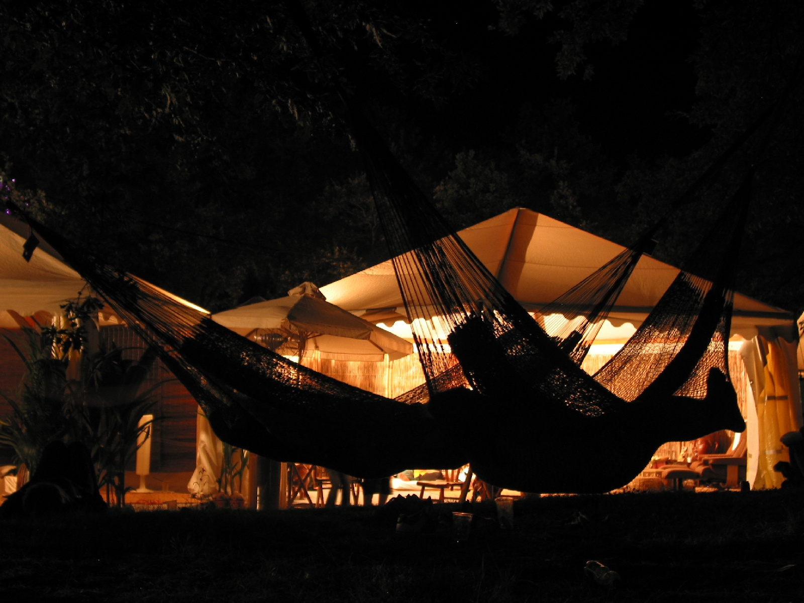 hammocks by night