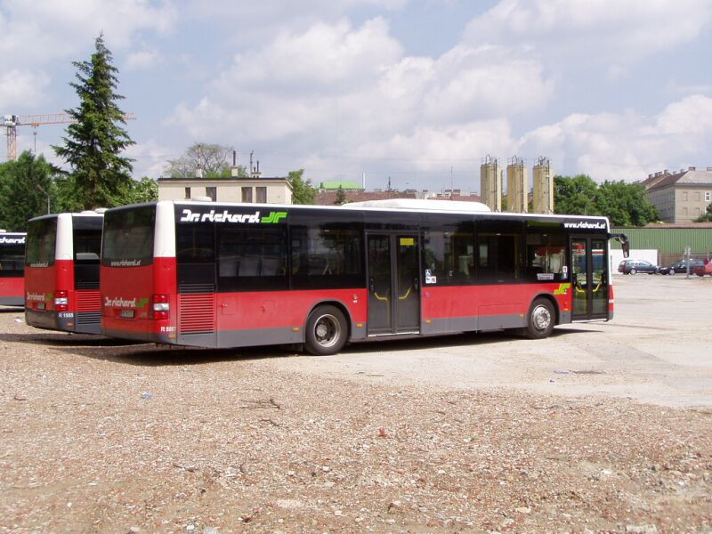 bécs-080524-busz (35)