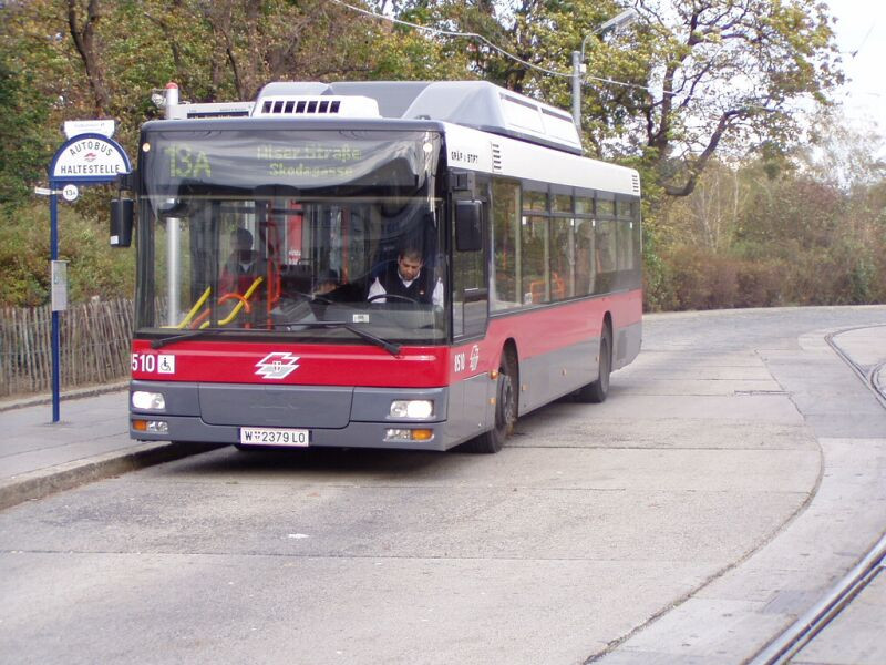 busz (5)