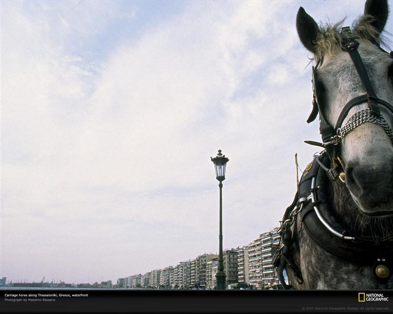 horse-waterfront-greece-765708-xl (Medium)