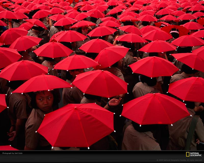 red-umbrellas-cobb-724048-xl (Medium)