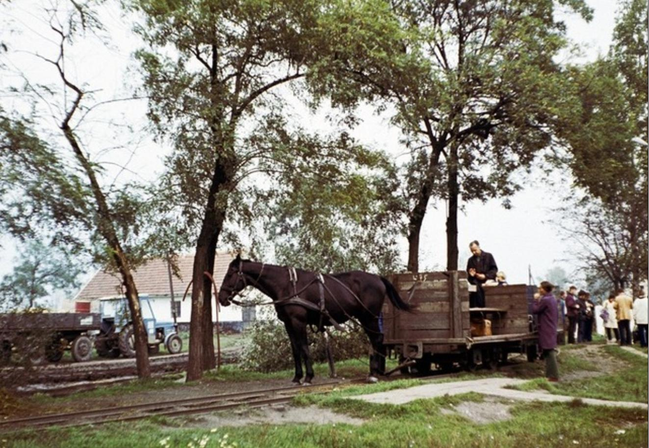 Lóvasút Kónya 1980 körül
