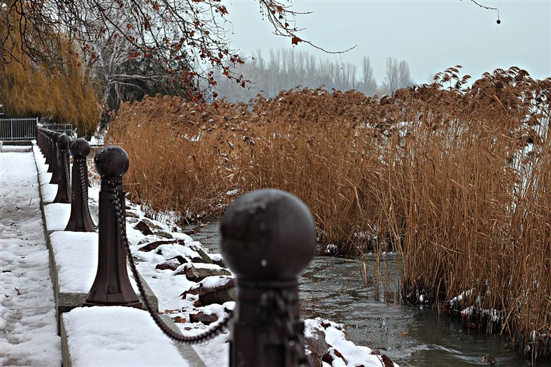 Balatonfüred tél 2013 január 064