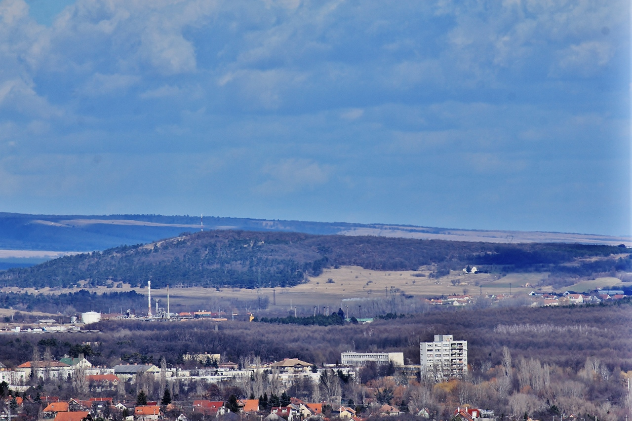 Fűzfőgyártelep